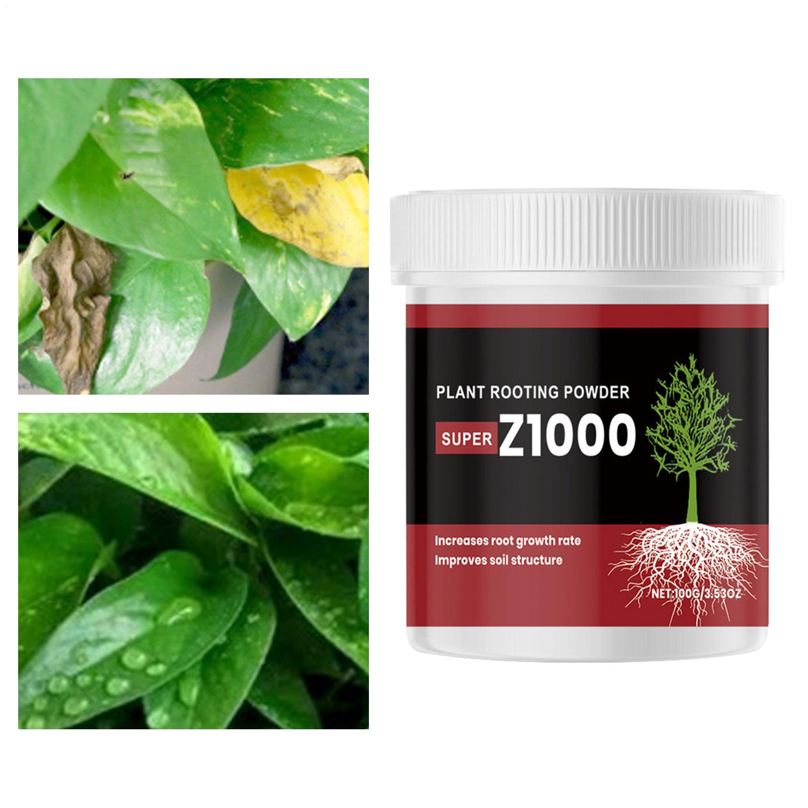 Порошок с ростовыми гормонами  – обзор и цена Root Stimulator Liquid