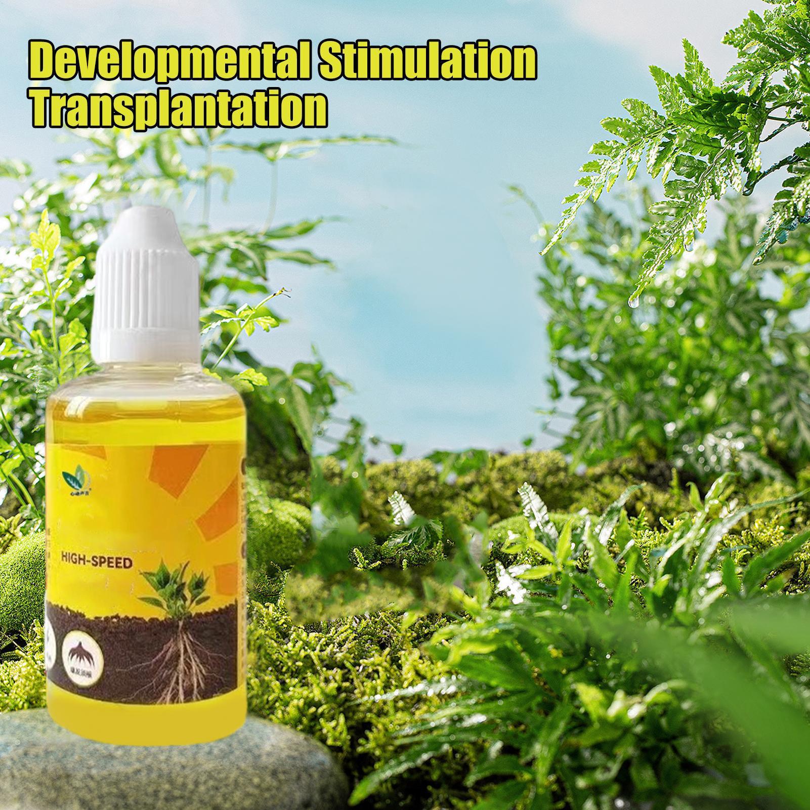Жидкий стимулятор укоренения р – обзор и цена Root Stimulator Liquid
